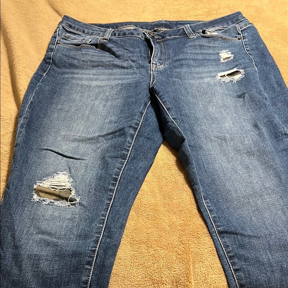 Women's Blue Distressed Jeans